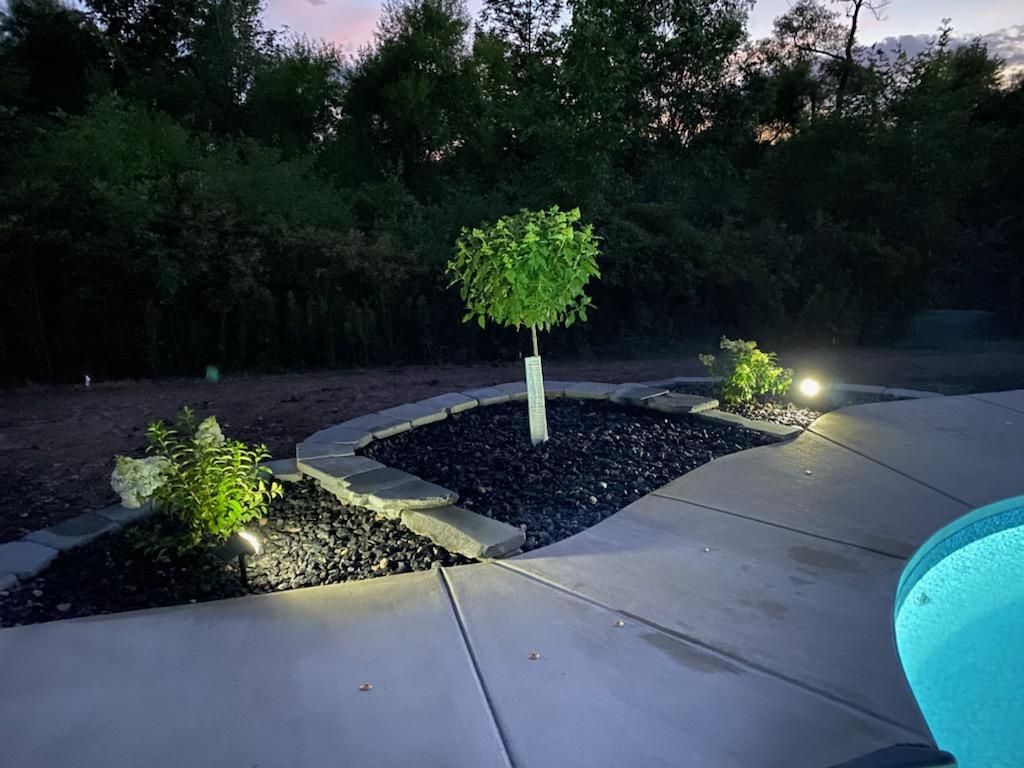 Patio walkway with landscaping and outdoor lights