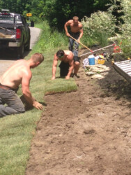 men planting sod