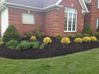 front yard landscape