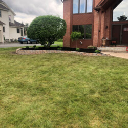 Front yard landscape