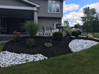 black mulch in a garden