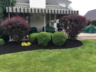 bushes blocking a porch
