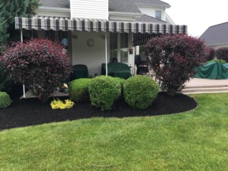 bushes blocking a porch