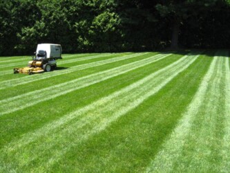 lawn mower in backyard