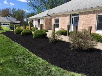 front yard landscape