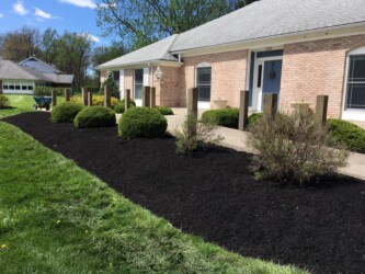 front yard landscape