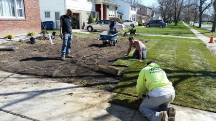 men planting mulch in a front yard