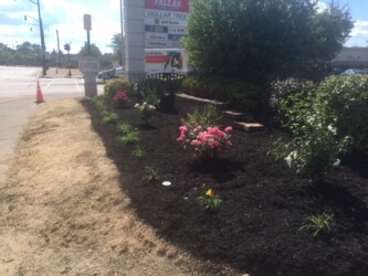 commercial landscape