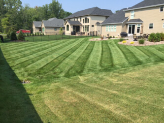 mow lines