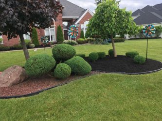 front yard landscape