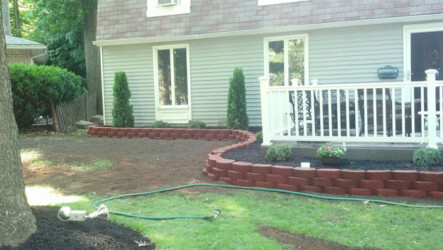 back yard with dead grass