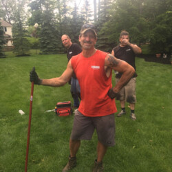 proud landscape artists